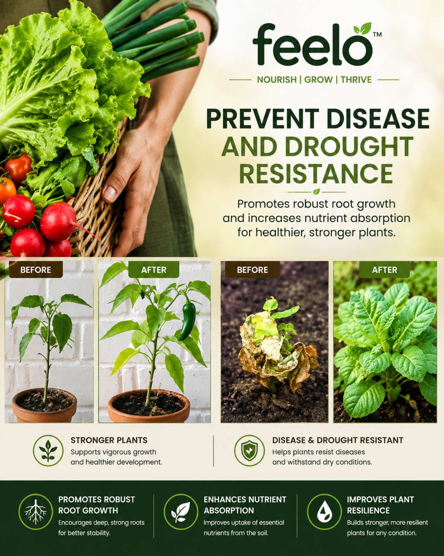 Feelo Soil Activator Nourish Soil Grow Stronger Plants